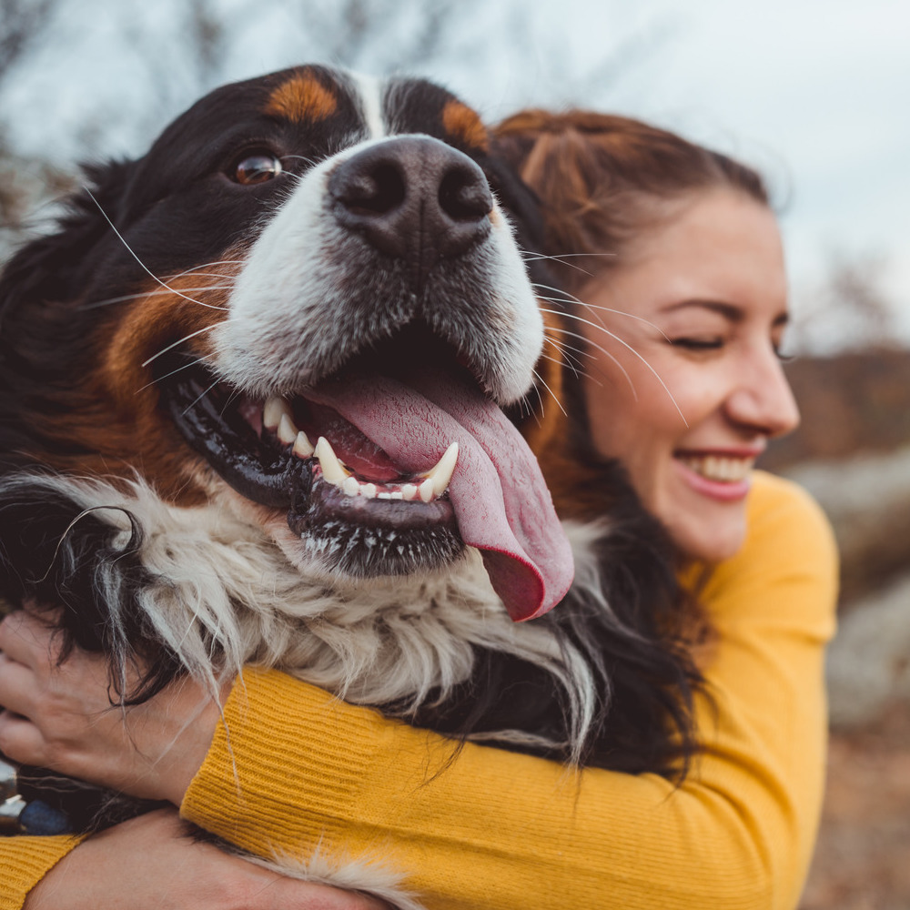 Dog hugging owner