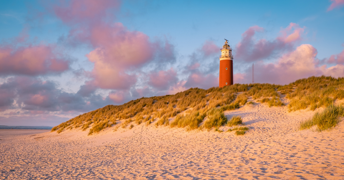 Dog-friendly road trip in the Netherlands