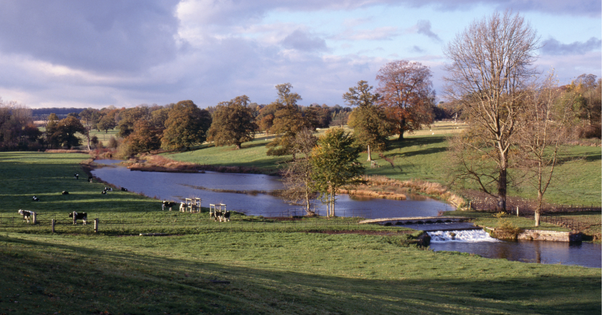 Sherborne Estate Cotswolds dog walks