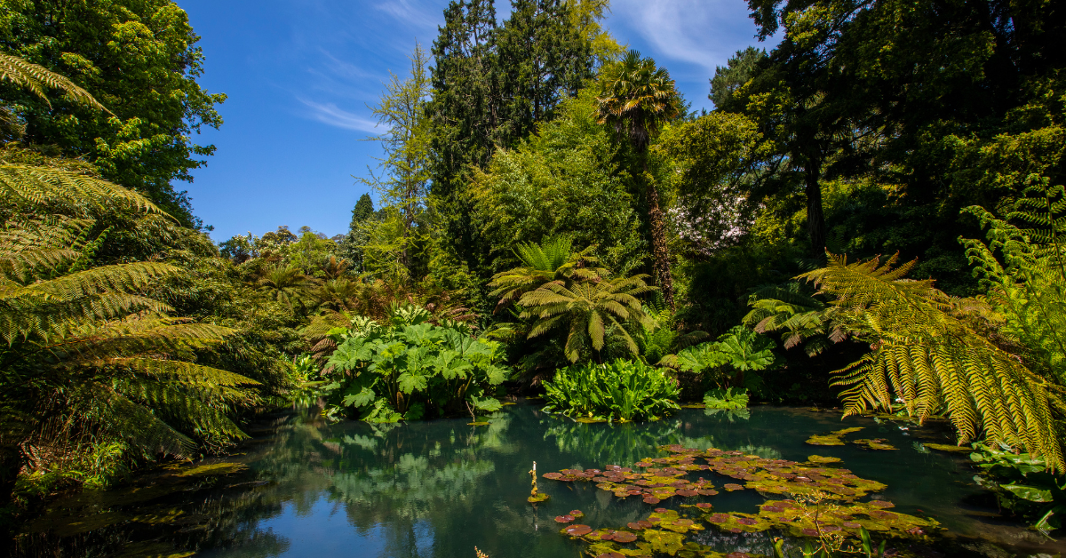 Lost Gardens of Heligan Dog Friendly