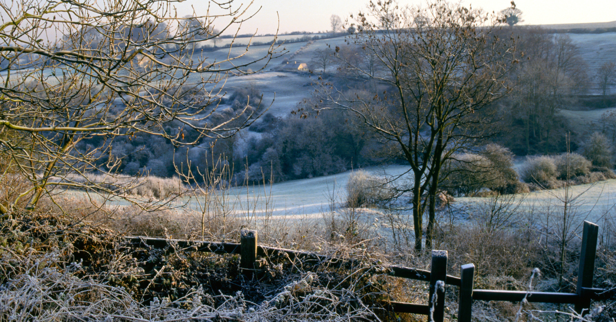 Frosty morning dog walk Chalford