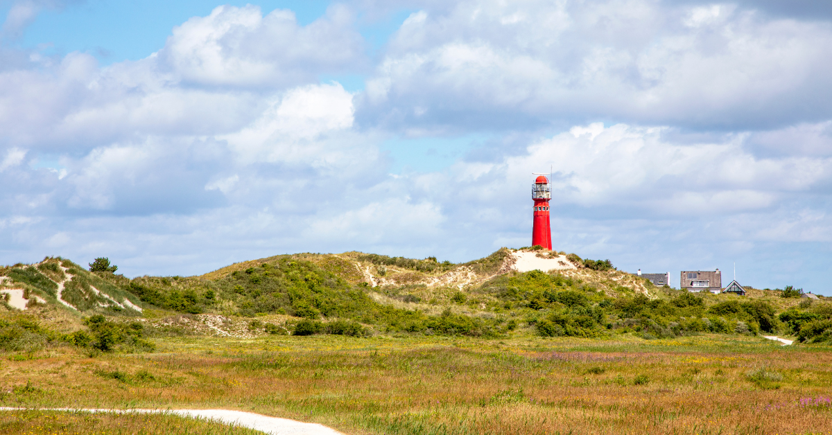 Schiermonnikoog dog friendly